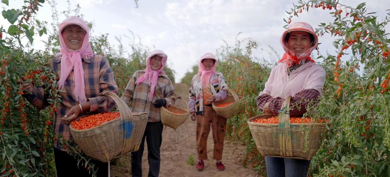 践行ESG理念,容声冰箱“寻鲜之旅”助农活动入选社会责任实践成果 践行ESG理念,容声冰箱“寻鲜之旅”助农活动入选社会责任实践成果